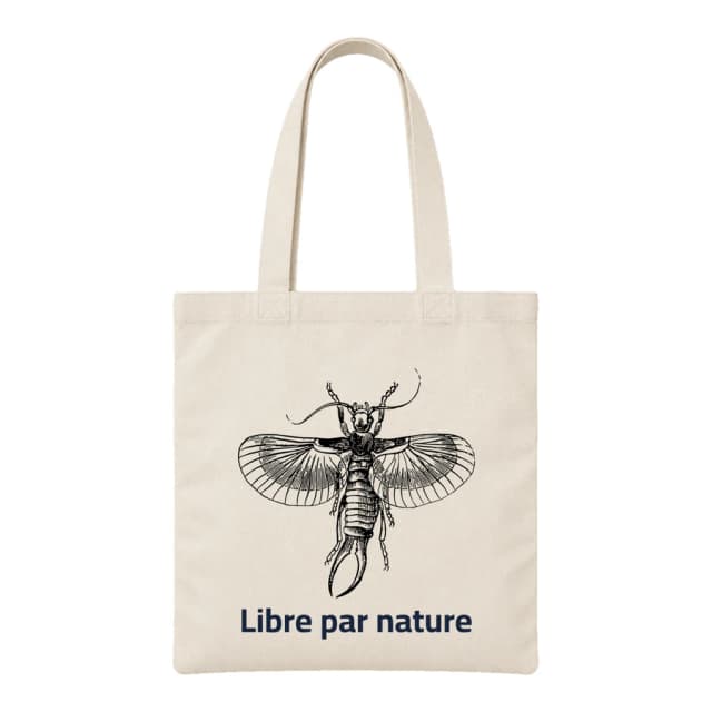 Tote bag — Insecte · Cabinet de curiosités